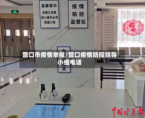 营口市疫情举报/营口疫情防控领导小组电话-第1张图片