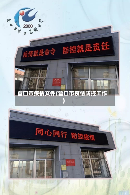 营口市疫情文件(营口市疫情防控工作)-第1张图片