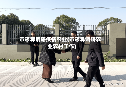 市领导调研疫情农业(市领导调研农业农村工作)-第2张图片