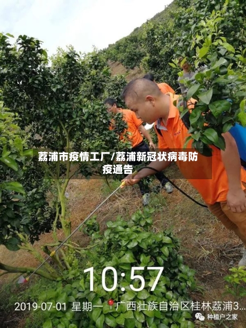 荔浦市疫情工厂/荔浦新冠状病毒防疫通告-第3张图片