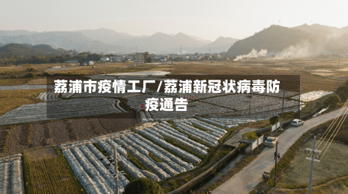 荔浦市疫情工厂/荔浦新冠状病毒防疫通告-第2张图片