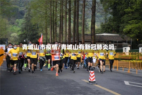 青城山市疫情/青城山有新冠肺炎吗-第2张图片