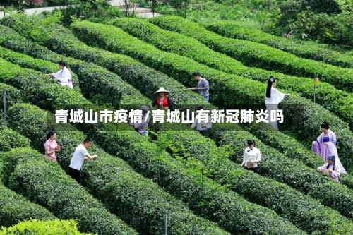 青城山市疫情/青城山有新冠肺炎吗-第1张图片