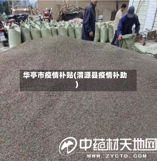 华亭市疫情补贴(渭源县疫情补助)-第2张图片