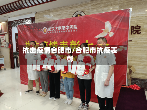 抗击疫情合肥市/合肥市抗疫表彰-第3张图片