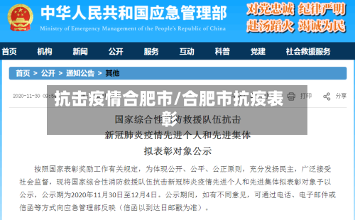 抗击疫情合肥市/合肥市抗疫表彰-第1张图片