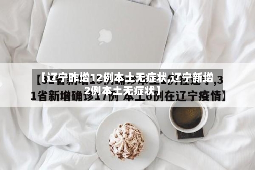 【辽宁昨增12例本土无症状,辽宁新增2例本土无症状】-第3张图片