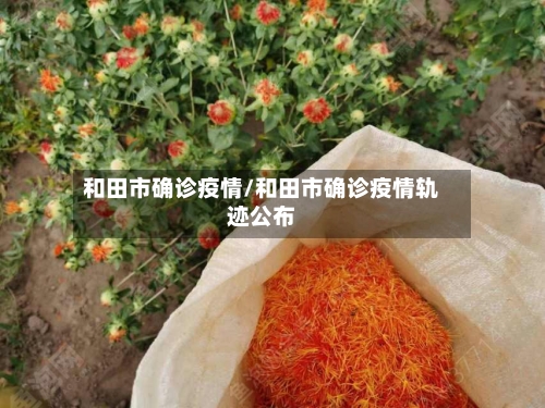 和田市确诊疫情/和田市确诊疫情轨迹公布-第2张图片