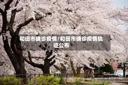 和田市确诊疫情/和田市确诊疫情轨迹公布-第1张图片