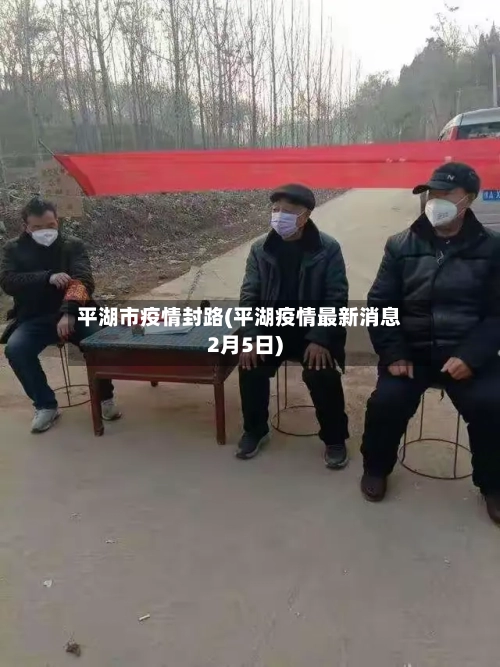 平湖市疫情封路(平湖疫情最新消息2月5日)-第2张图片