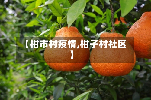 【柑市村疫情,柑子村社区】-第1张图片