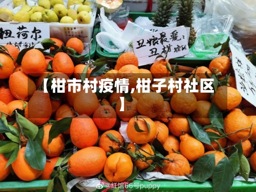 【柑市村疫情,柑子村社区】-第2张图片
