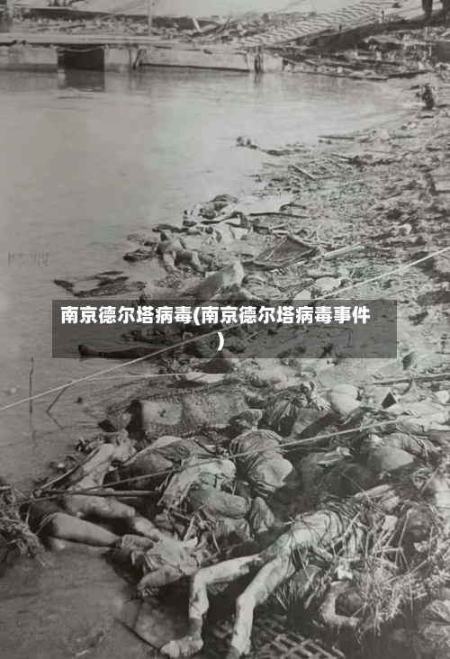 南京德尔塔病毒(南京德尔塔病毒事件)-第3张图片