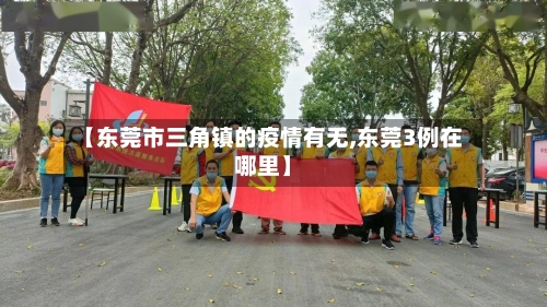 【东莞市三角镇的疫情有无,东莞3例在哪里】-第1张图片