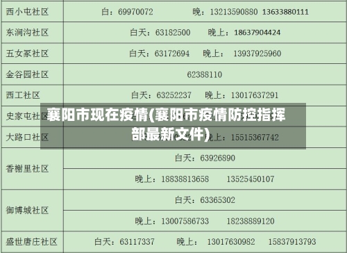襄阳市现在疫情(襄阳市疫情防控指挥部最新文件)-第1张图片
