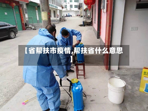 【省帮扶市疫情,帮扶省什么意思】-第3张图片