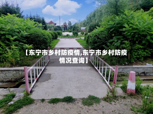 【东宁市乡村防疫情,东宁市乡村防疫情况查询】-第2张图片