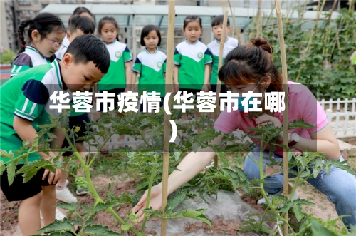 华蓉市疫情(华蓉市在哪)-第1张图片