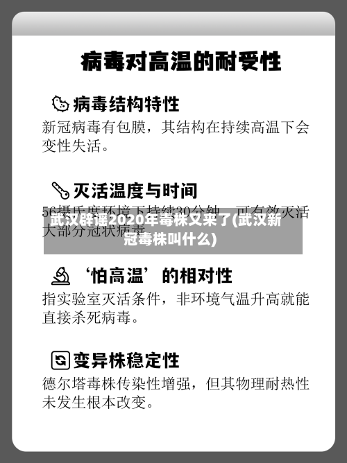 武汉辟谣2020年毒株又来了(武汉新冠毒株叫什么)-第3张图片