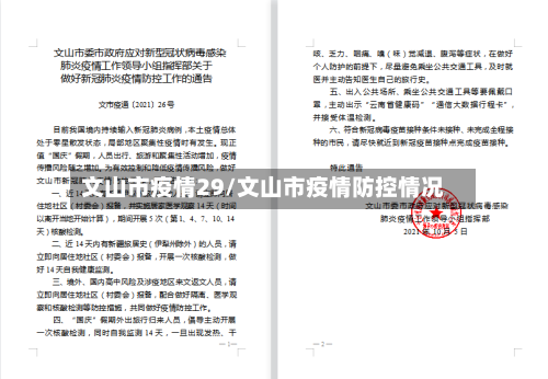 文山市疫情29/文山市疫情防控情况-第2张图片