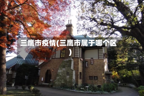 三鹰市疫情(三鹰市属于哪个区)-第3张图片