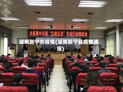 湖南新宁市疫情(湖南新宁县疫情通报)-第1张图片