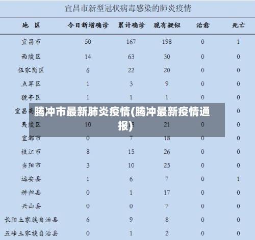 腾冲市最新肺炎疫情(腾冲最新疫情通报)-第2张图片