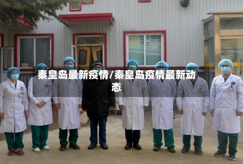 秦皇岛最新疫情/秦皇岛疫情最新动态-第2张图片