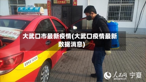 大武口市最新疫情(大武口疫情最新数据消息)-第3张图片
