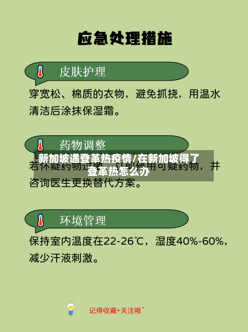新加坡遇登革热疫情/在新加坡得了登革热怎么办-第1张图片