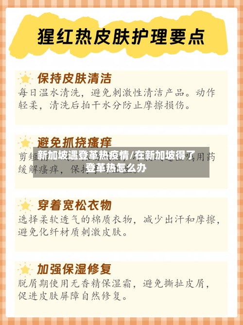 新加坡遇登革热疫情/在新加坡得了登革热怎么办-第2张图片