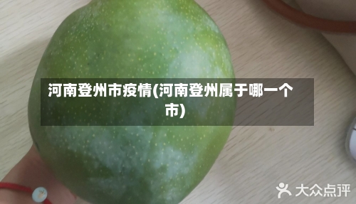 河南登州市疫情(河南登州属于哪一个市)-第2张图片