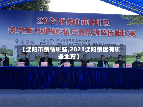 【沈阳市疫情哪些,2021沈阳疫区有哪些地方】-第1张图片