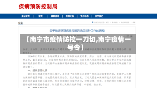 【南宁市疫情防控一刀切,南宁疫情一号令】-第1张图片