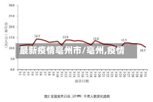 最新疫情亳州市/亳州,疫情-第2张图片