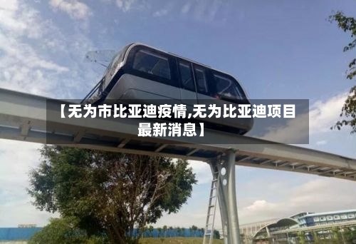 【无为市比亚迪疫情,无为比亚迪项目最新消息】-第2张图片