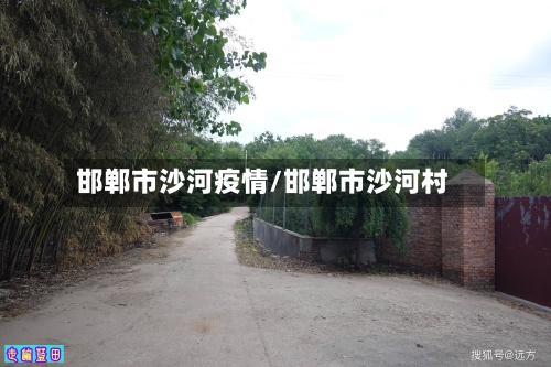 邯郸市沙河疫情/邯郸市沙河村-第2张图片