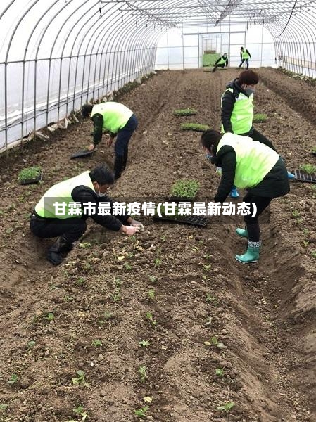 甘霖市最新疫情(甘霖最新动态)-第1张图片
