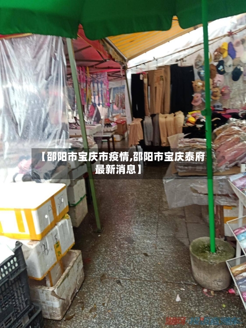 【邵阳市宝庆市疫情,邵阳市宝庆泰府最新消息】-第2张图片