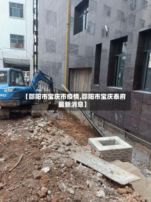 【邵阳市宝庆市疫情,邵阳市宝庆泰府最新消息】-第3张图片