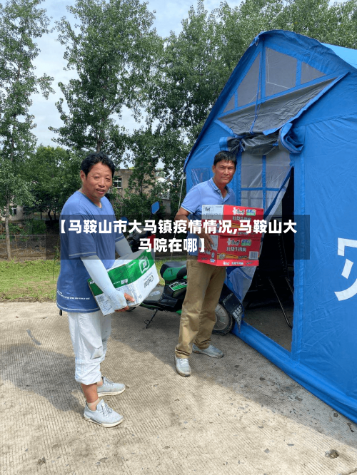 【马鞍山市大马镇疫情情况,马鞍山大马院在哪】-第3张图片