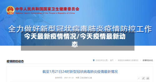 今天最新疫情情况/今天疫情最新动态-第2张图片