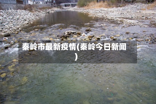 秦岭市最新疫情(秦岭今日新闻)-第2张图片