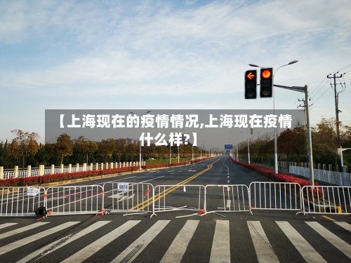 【上海现在的疫情情况,上海现在疫情什么样?】-第3张图片