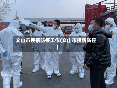 文山市疫情防疫工作(文山市疫情防控)-第1张图片