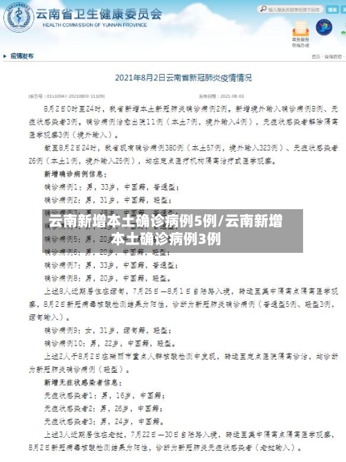 云南新增本土确诊病例5例/云南新增本土确诊病例3例-第2张图片