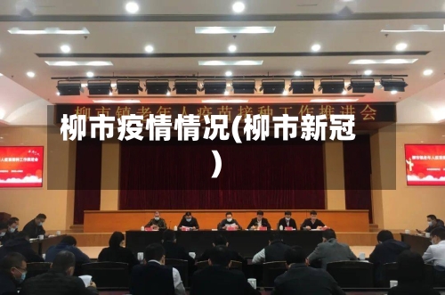 柳市疫情情况(柳市新冠)-第3张图片