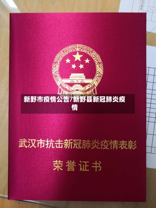 新野市疫情公告/新野县新冠肺炎疫情-第3张图片