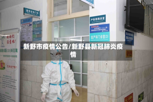 新野市疫情公告/新野县新冠肺炎疫情-第2张图片