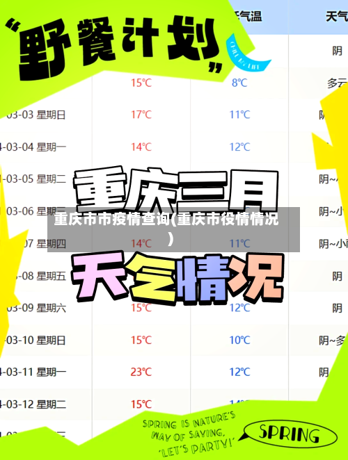 重庆市市疫情查询(重庆市役情情况)-第2张图片